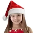 Plush Santa Claus hat