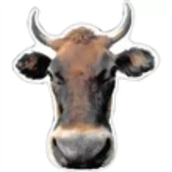 Bull head shape thin