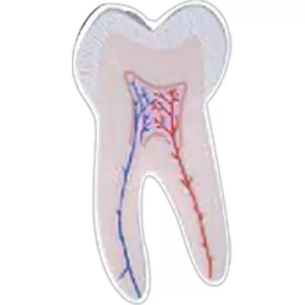 Tooth shape thin magnet,