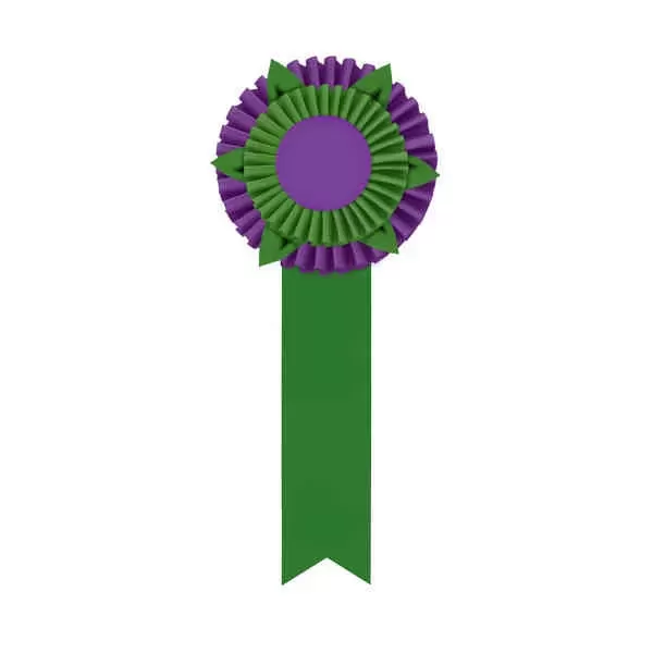 Rosette with one streamer