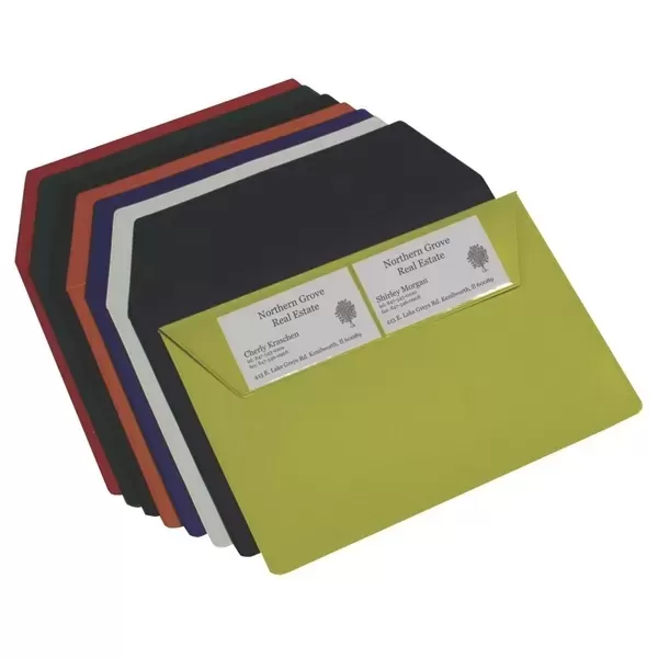 Vinyl envelope with one-color