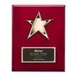 Promotional -AWARD 4516