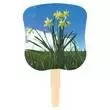 Stock Design Hand Fan-Daffodils