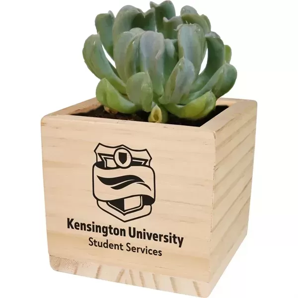 Wooden cube grow kit