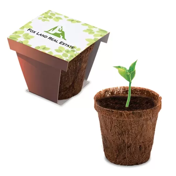 Coco planter kit featuring