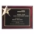 Promotional -AWARD 4515